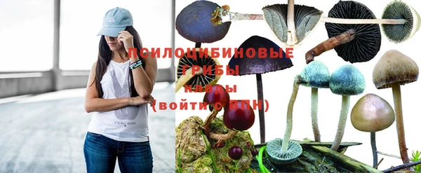первитин Баксан