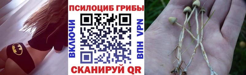 Галлюциногенные грибы прущие грибы  цена наркотик  Новопавловск 